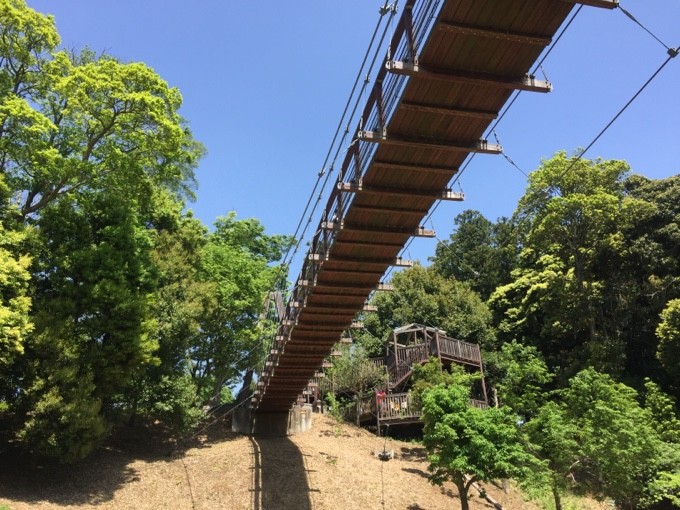 坂田ヶ池総合公園の吊り橋