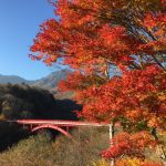 真っ暗闇の夜設営!晩秋の清里高原@山梨で紅葉狩りキャンプ