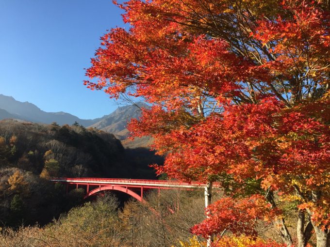 晩秋の赤い橋と紅葉