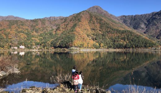PICA富士西湖で秋キャンプ！富士五湖周辺の薪は渡辺製材所がイチオシ