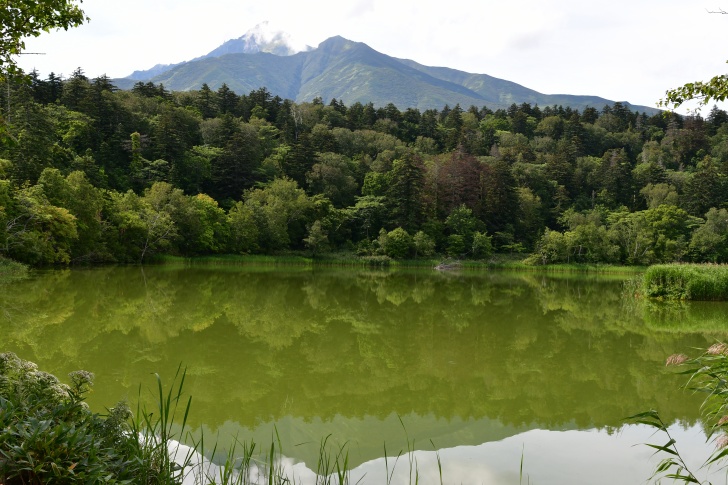 利尻島の景勝地「姫沼」で見る逆さ利尻富士