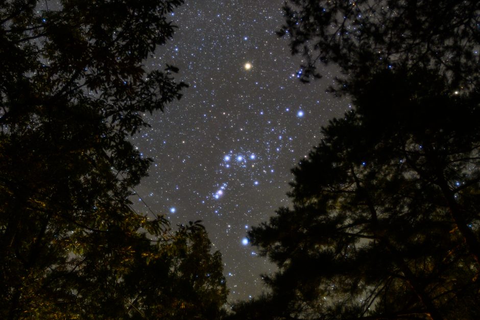 南アルプス三景園2泊目の夜に撮影したオリオン座